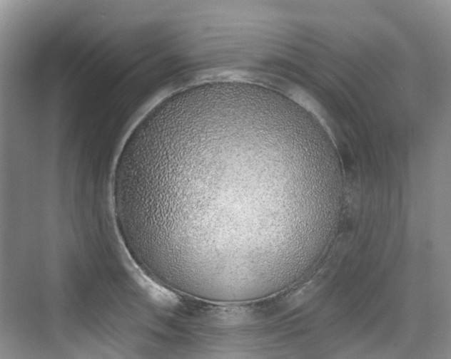 X0000073931090200608111154