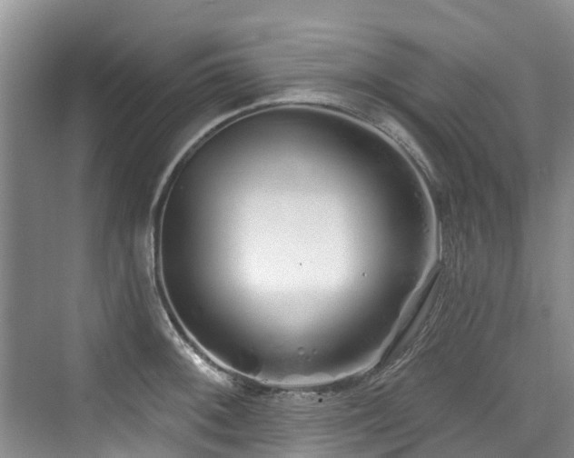 X0000073931092200608111154