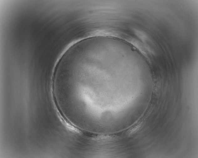 X0000073931094200608111154