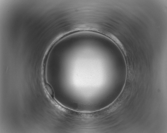 X0000073931096200608111154