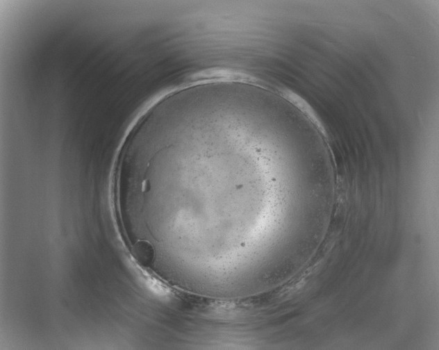 X0000073931098200608111154