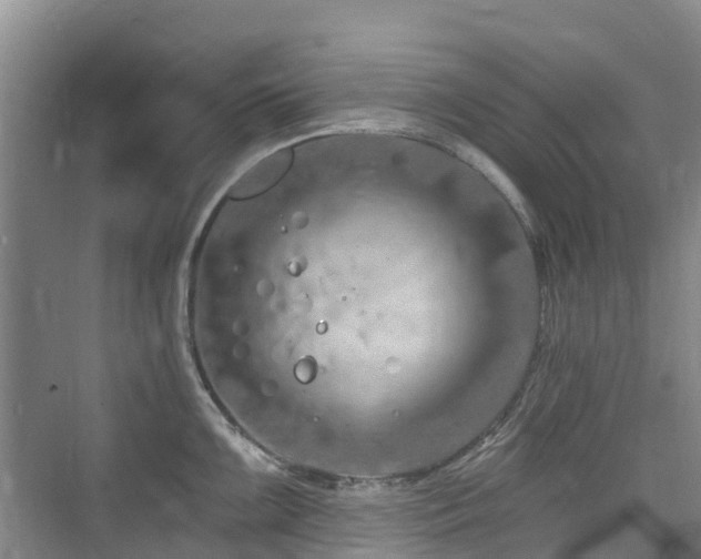 X0000073931099200608111154