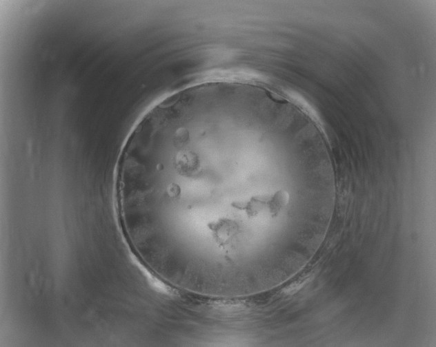 X0000073931103200608111154