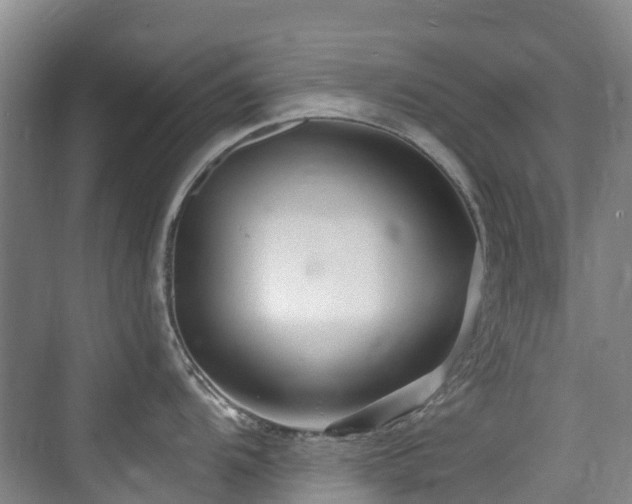 X0000073931104200608111154