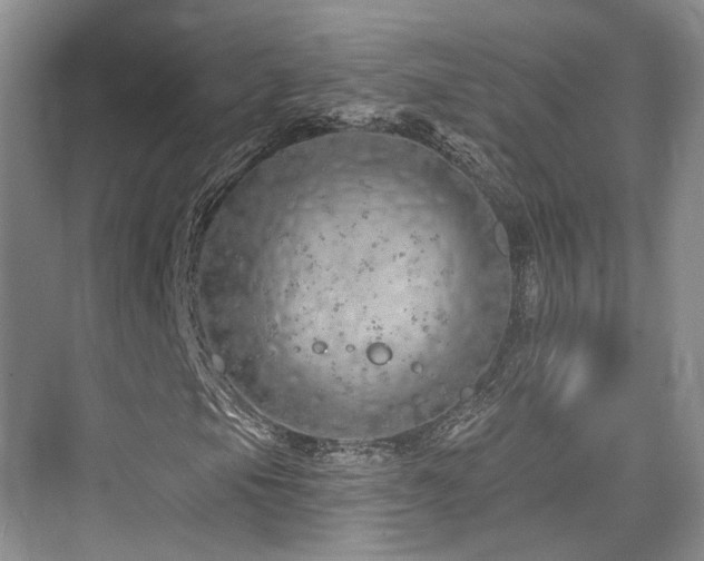 X0000073931105200608111153