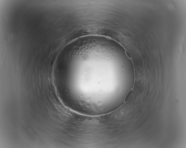 X0000073931106200608111153