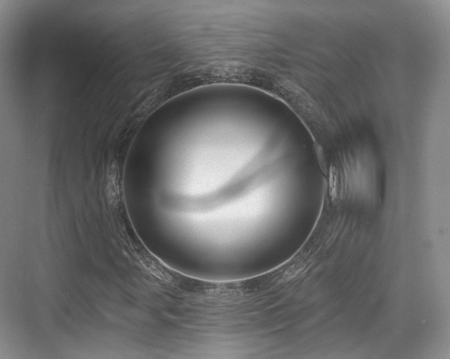 X0000073931107200608111153