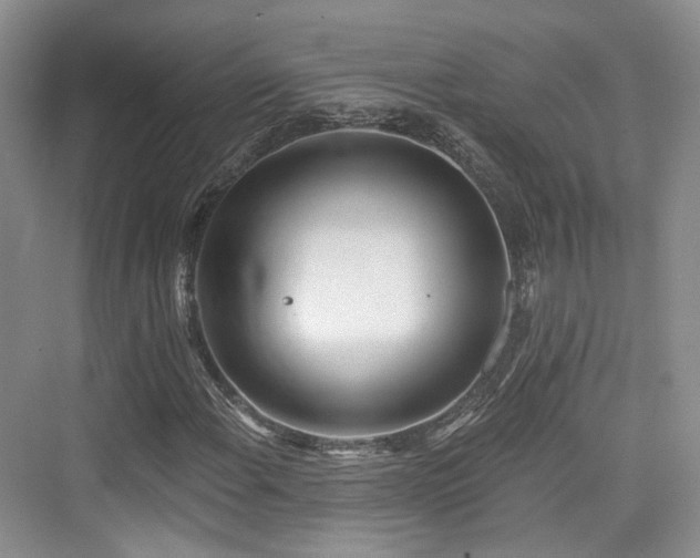 X0000073931108200608111153