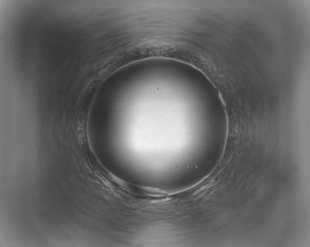 X0000073931109200608111153