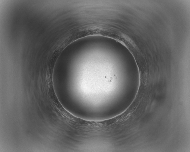 X0000073931111200608111153