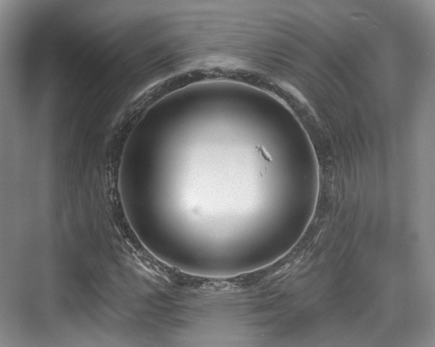 X0000073931112200608111153