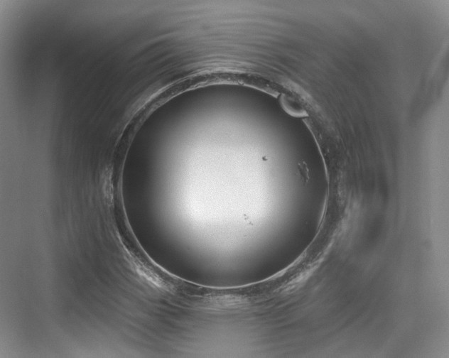 X0000073931113200608111153