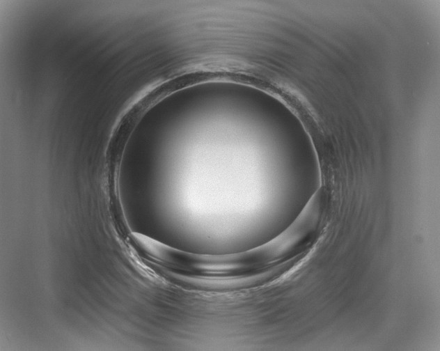 X0000073931114200608111153