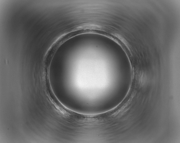 X0000073931115200608111153