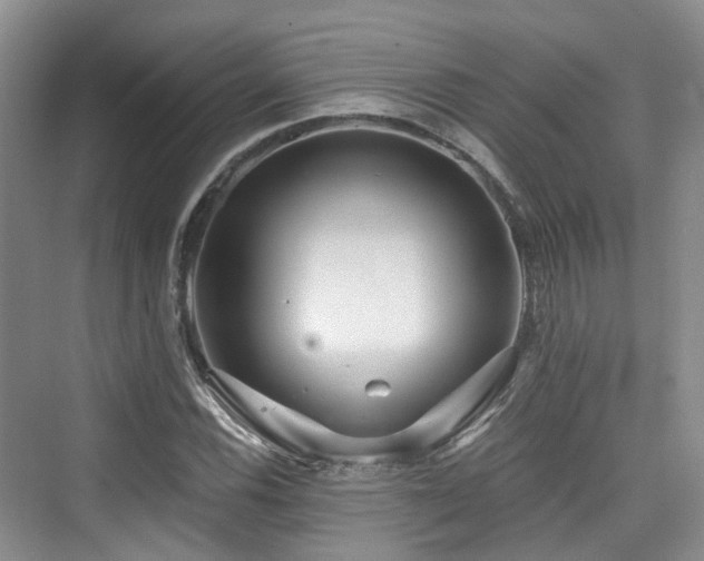 X0000073931116200608111153