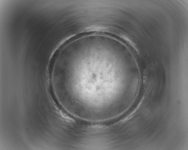 X0000073931117200608111153