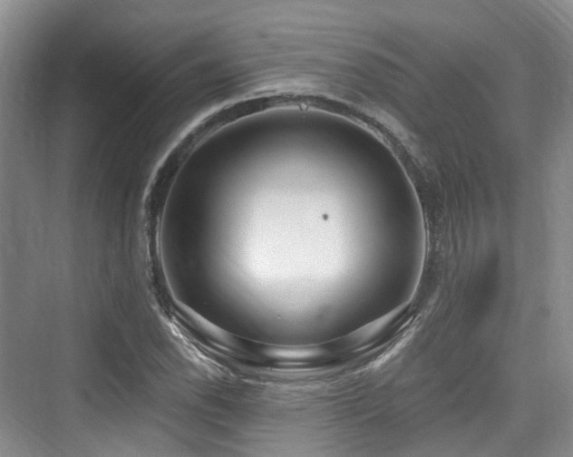 X0000073931118200608111153