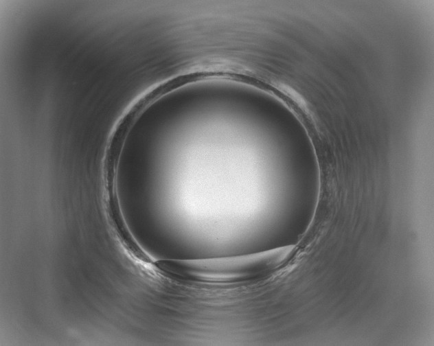 X0000073931120200608111153