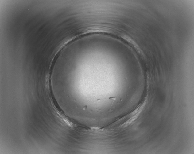 X0000073931121200608111153