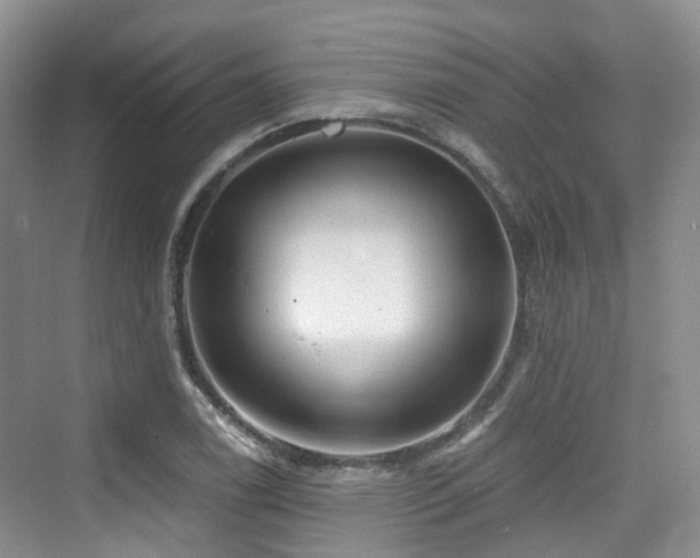 X0000073931122200608111153