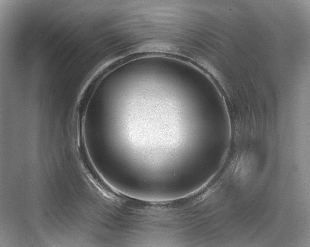 X0000073931123200608111153