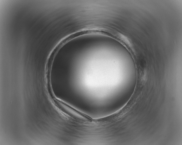 X0000073931124200608111153