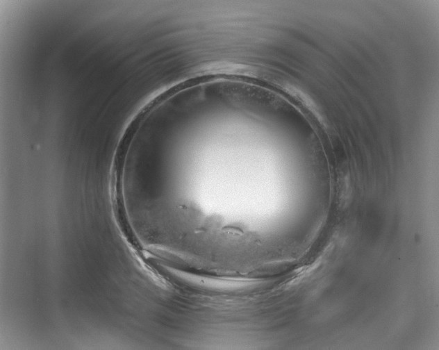 X0000073931125200608111153