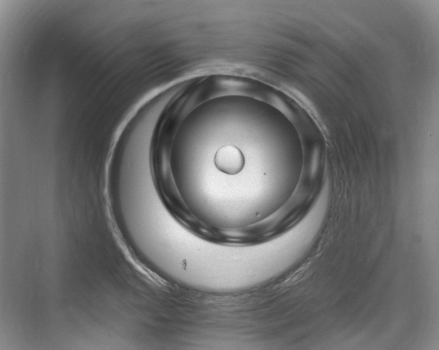 X0000073931128200608111153