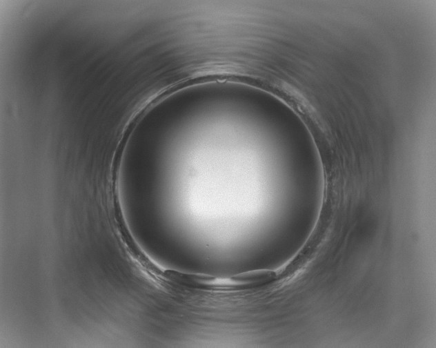 X0000073931129200608111153