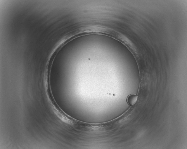 X0000073931130200608111153