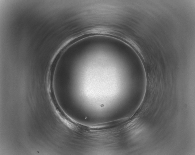 X0000073931131200608111153