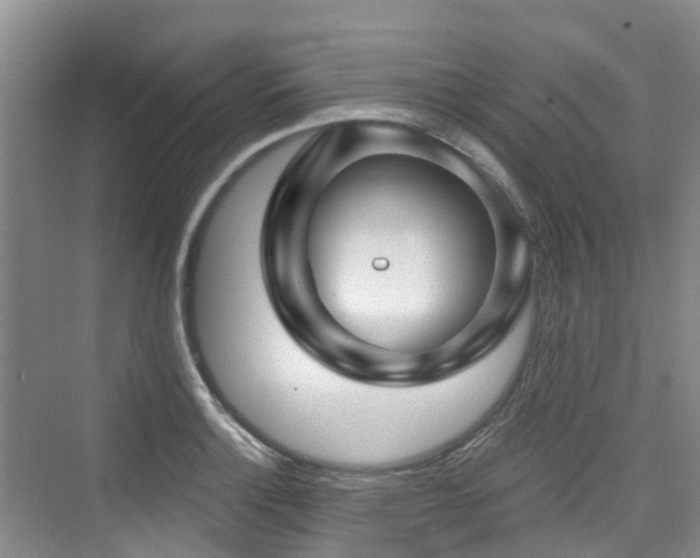 X0000073931132200608111153