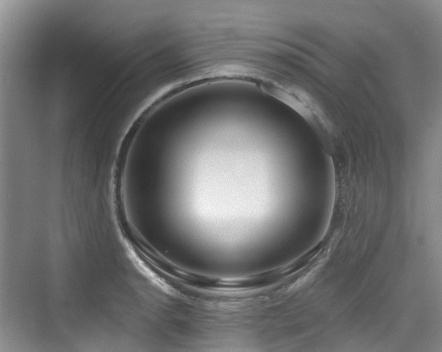 X0000073931134200608111153