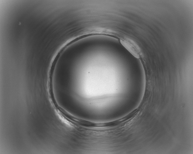 X0000073931136200608111153