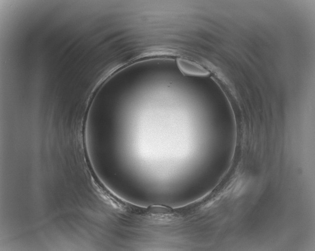 X0000073931137200608111153