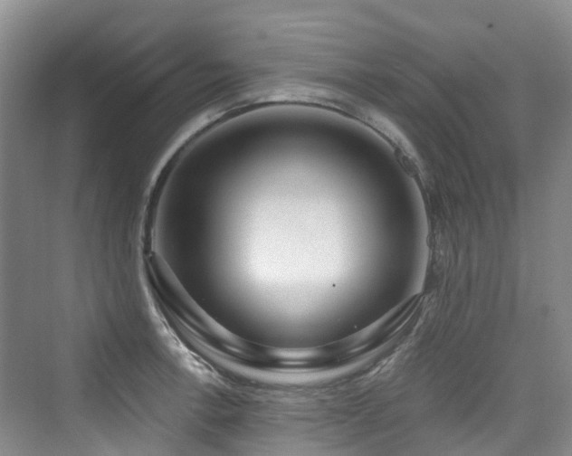 X0000073931138200608111153