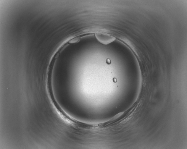 X0000073931139200608111153