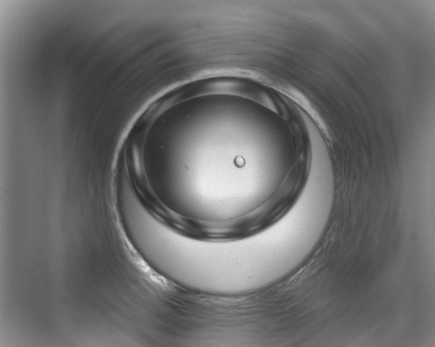 X0000073931140200608111153