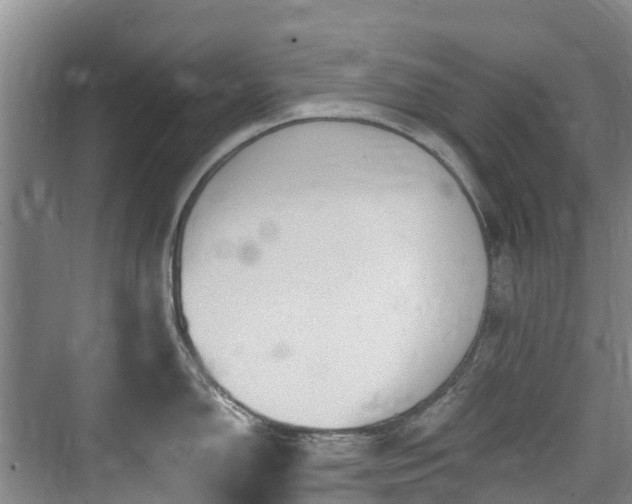 X0000073931150200608111154