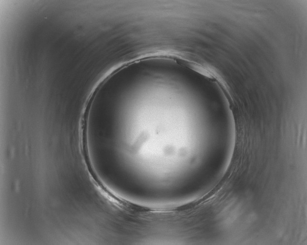 X0000073931151200608111154