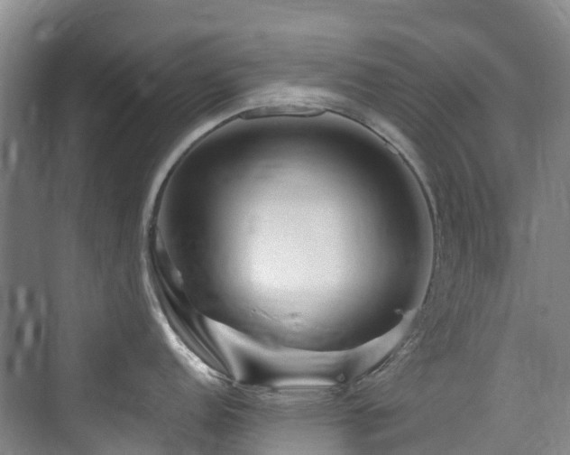 X0000073931152200608111154