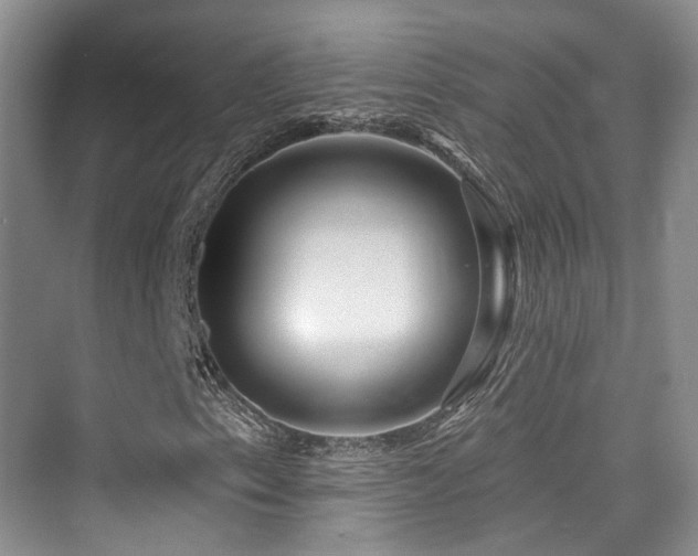 X0000073931153200608111153