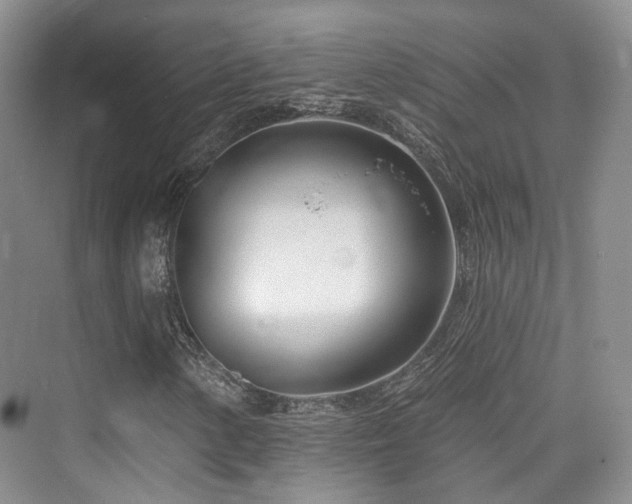 X0000073931154200608111153