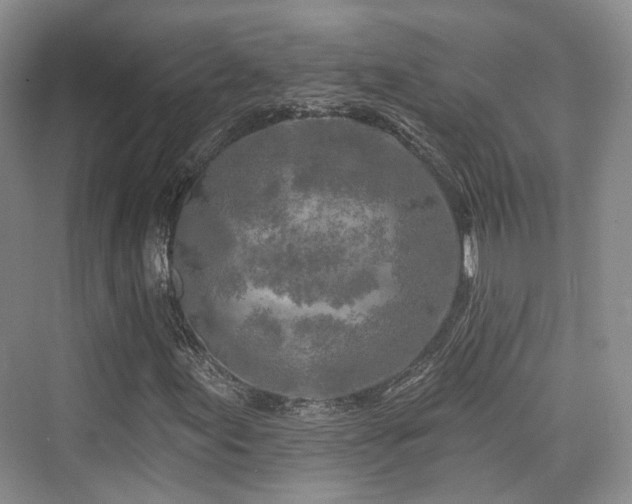 X0000073931155200608111153