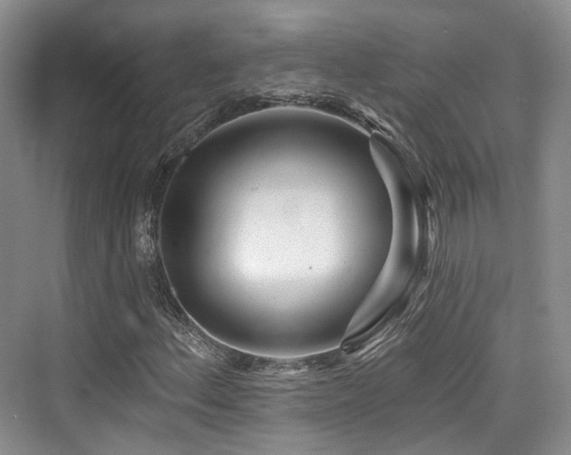 X0000073931156200608111153