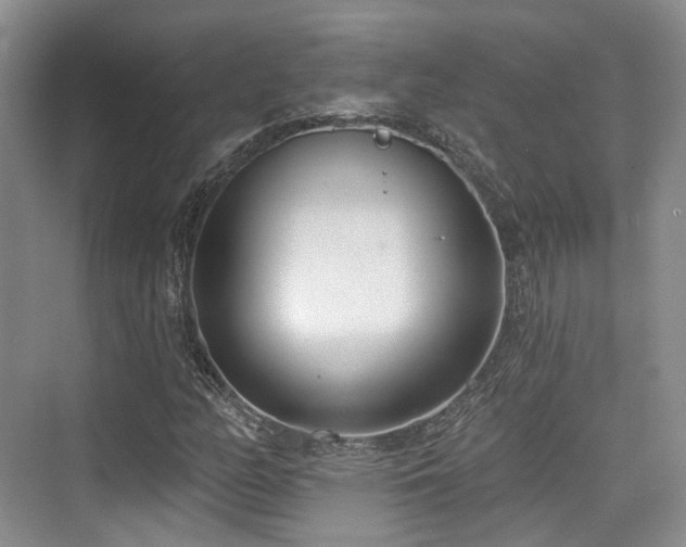 X0000073931158200608111153