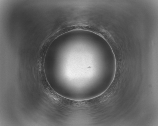 X0000073931159200608111153