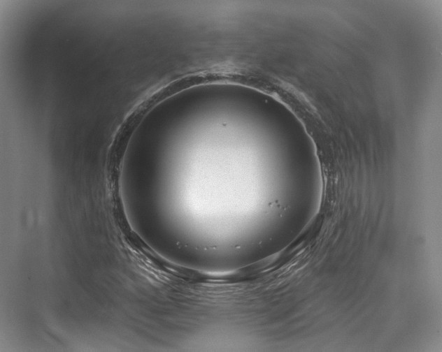 X0000073931160200608111153