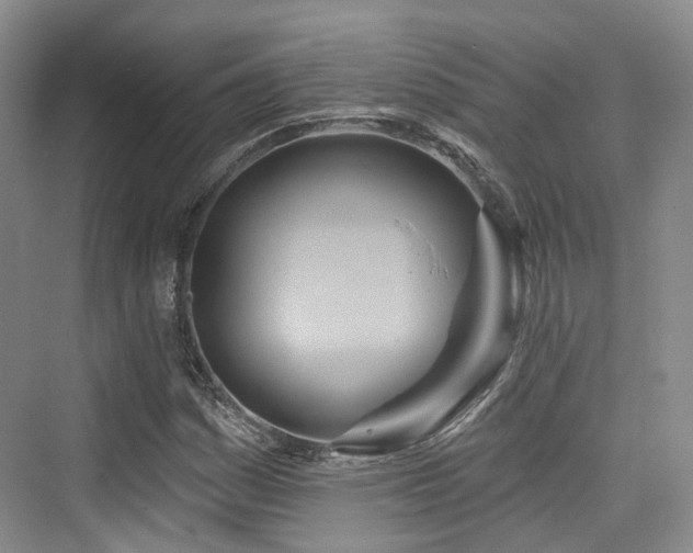 X0000073931161200608111153