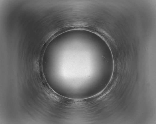 X0000073931162200608111153